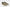 Flint